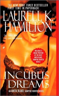 Incubus Dreams (Vampire Hunter 12)