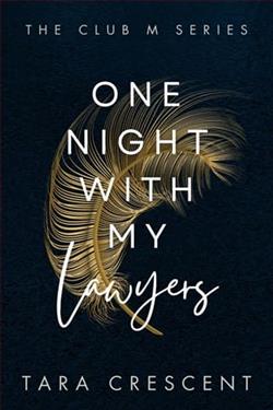 One Night with My Lawyers