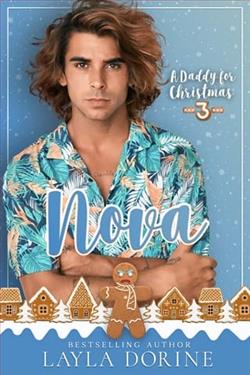 A Daddy for Christmas 3: Nova