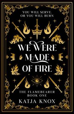We Were Made of Fire