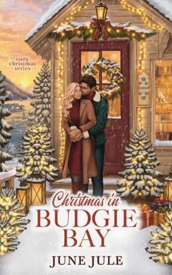 Christmas in Budgie Bay