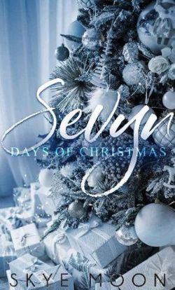 Sevyn Days of Christmas