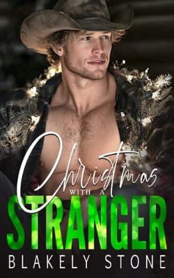 Christmas With A Stranger