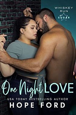 One Night Love (Whiskey Run Sugar 1)