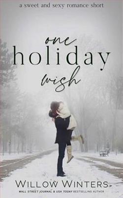 One Holiday Wish