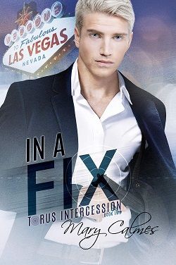 In a Fix (Torus Intercession 2) by Mary Calmes