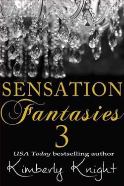 Sensation Fantasies 3 by Kimberly Knight