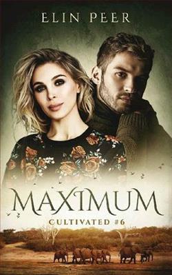 Maximum by Elin Peer
