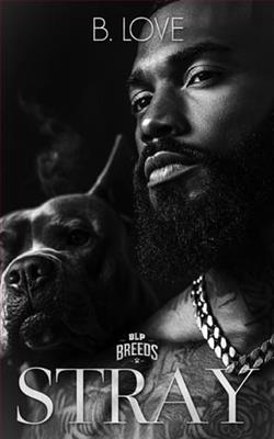 Stray by B. Love