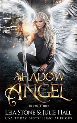 Shadow Angel 3 by Leia Stone