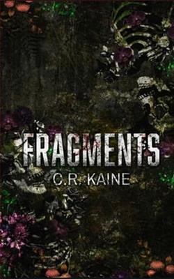 Fragments by C.R. Kaine