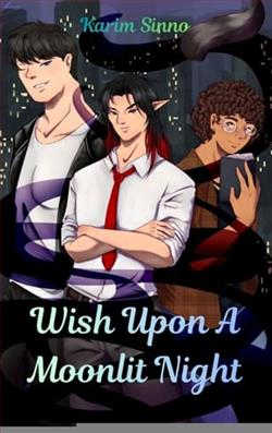 Wish Upon A Moonlit Night by Karim Sinno