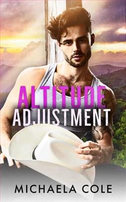 Altitude Adjustment by Michaela Cole