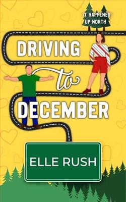 Driving to December by Elle Rush